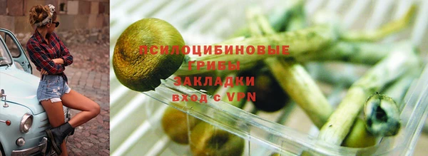 Альфа ПВП Нягань