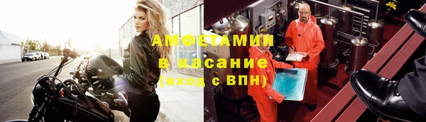 ПСИЛОЦИБИНОВЫЕ ГРИБЫ Няндома