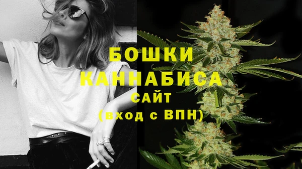 Альфа ПВП Нягань