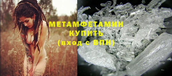 ПСИЛОЦИБИНОВЫЕ ГРИБЫ Няндома