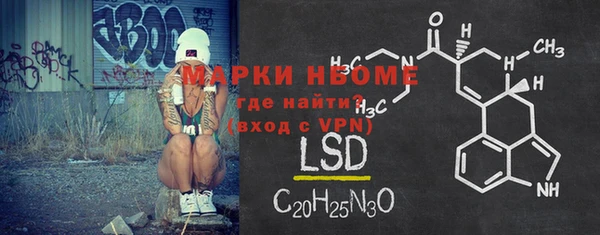 ПСИЛОЦИБИНОВЫЕ ГРИБЫ Няндома