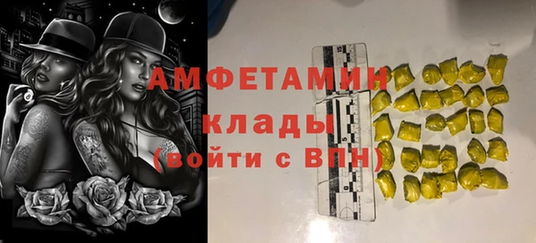ПСИЛОЦИБИНОВЫЕ ГРИБЫ Няндома